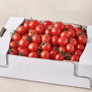 Read more about the article 인기 폭발 오색 칵테일 토마토 5kg 가이드북