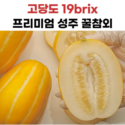 필수 구매 성주참외 프리미엄 특등급 세트 5kg 이유 있는 선택