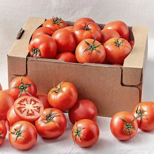 You are currently viewing 가장 인기있는 스마트팜 토마토 5kg 구매전 필독