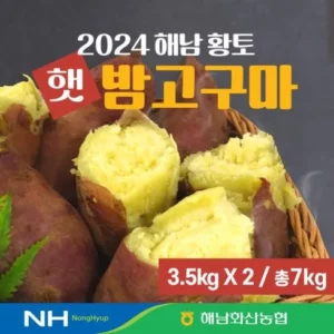 가장 인기있는 다모 해남 밤 고구마 3.5kg3.5kg 이유 있는 선택